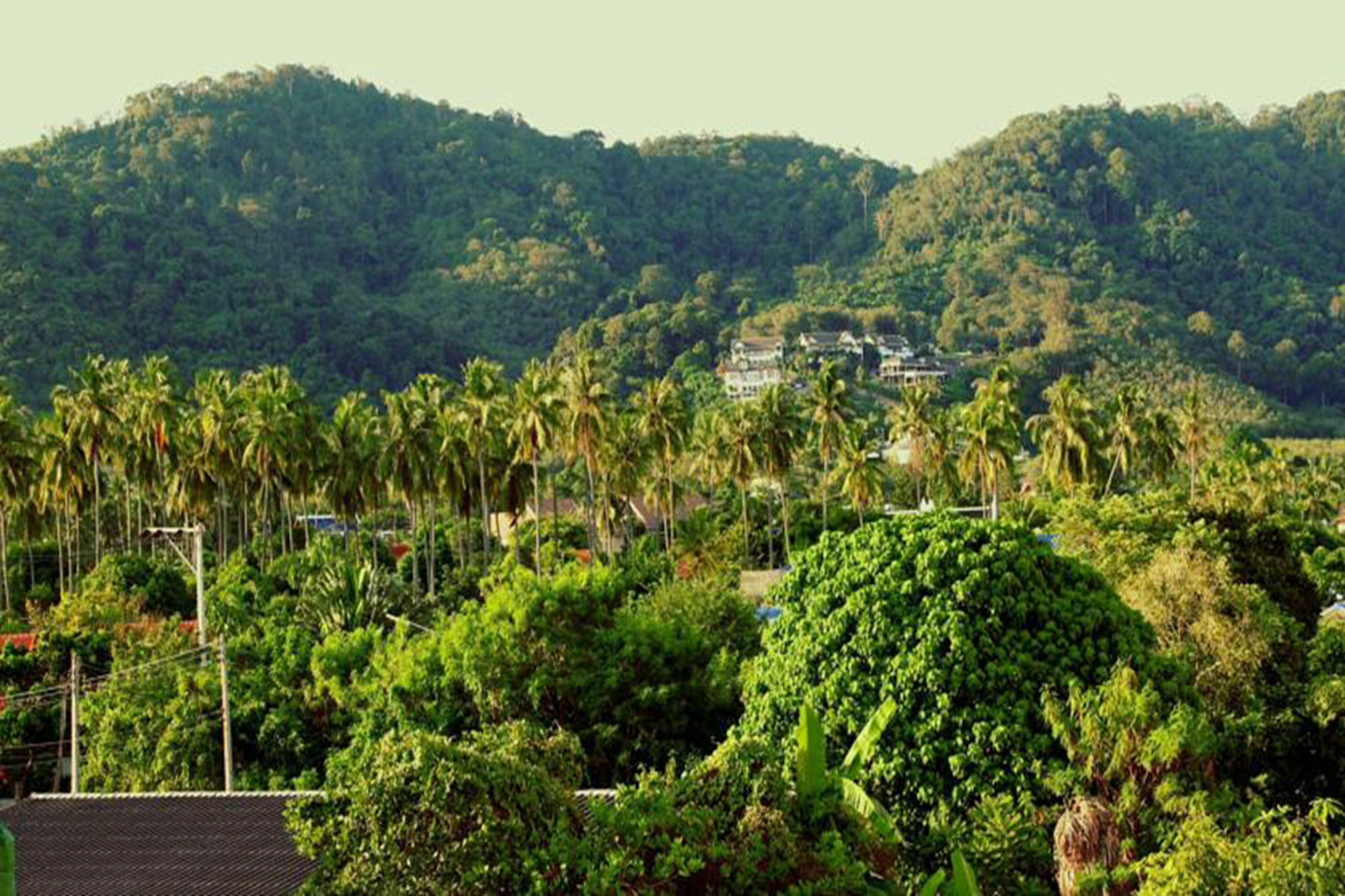 Tropical Sands Nai Harn Exterior foto